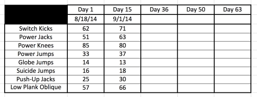 Insanity Fit Test 9-1-14